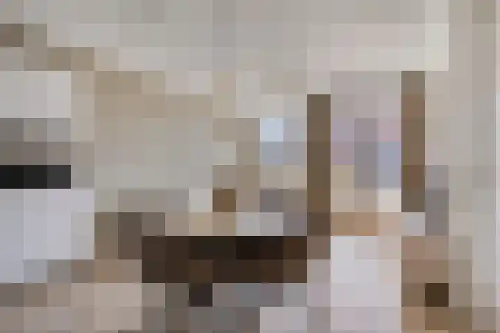 Ketelkade 43 Goes thumbnail 4