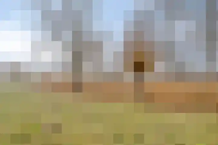 Ketelkade 47 Goes thumbnail 19