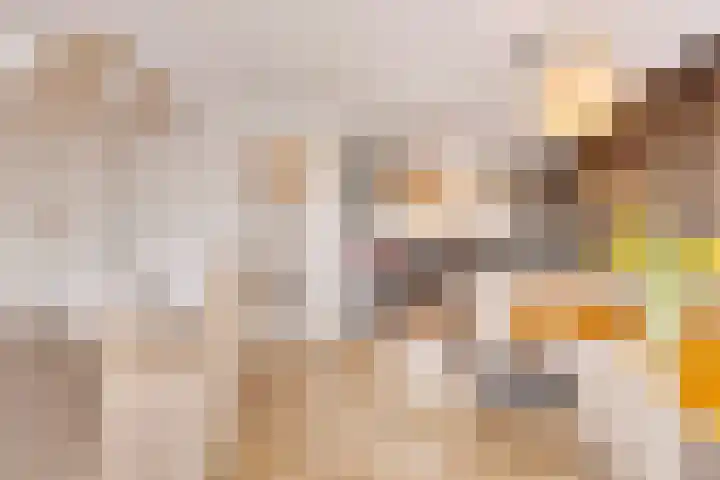 Ketelkade 60 Goes thumbnail 11