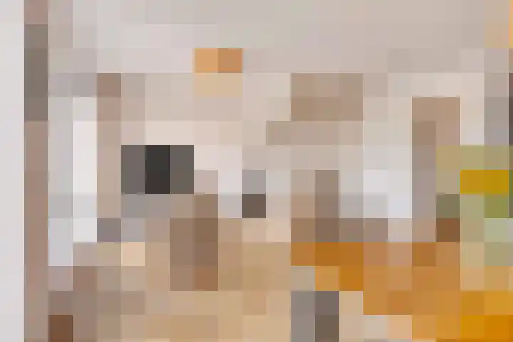 Ketelkade 60 Goes thumbnail 13