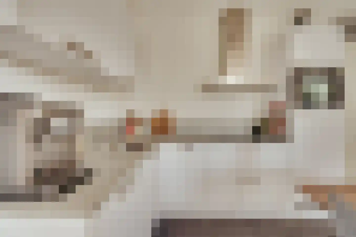 Ketelkade 69 Goes thumbnail 17