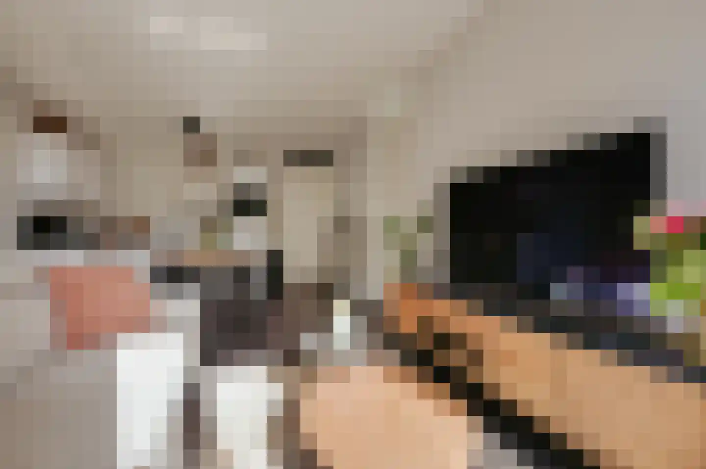 Ketelkade 69 Goes thumbnail 20