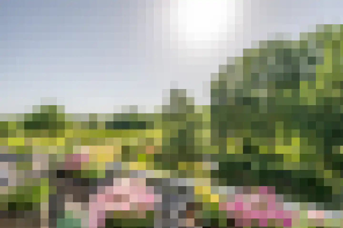 Ketelkade 69 Goes thumbnail 25