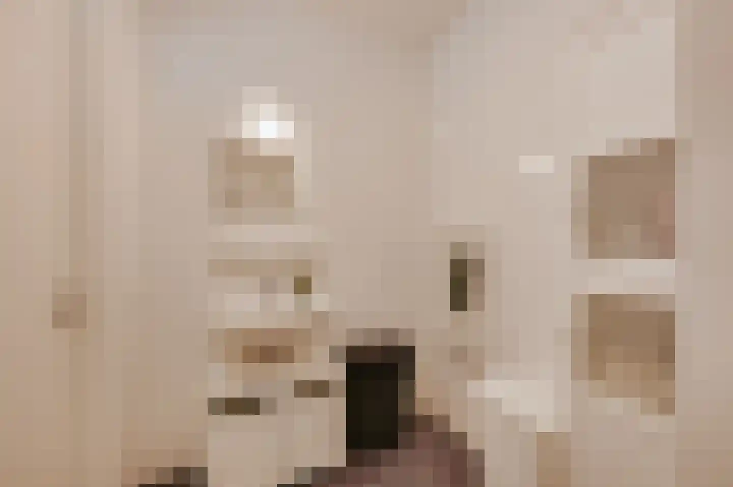 Ketelkade 69 Goes thumbnail 33