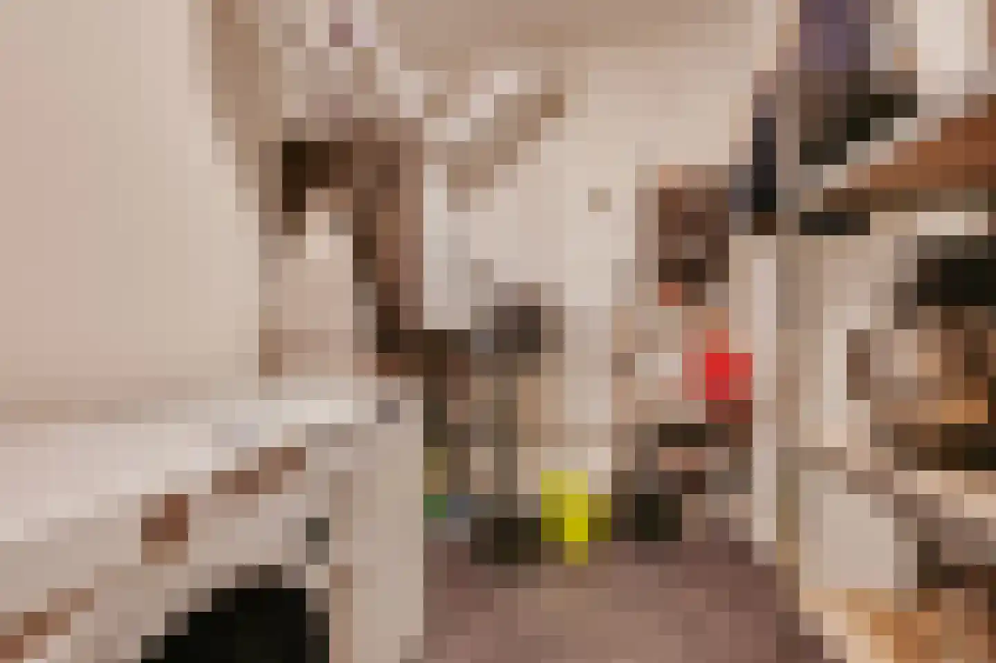 Ketelkade 69 Goes thumbnail 40