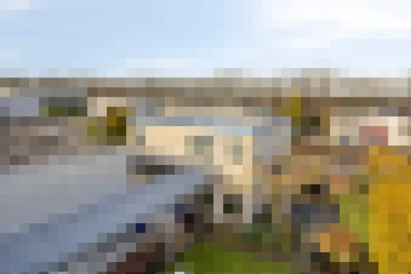 Ketellapperstraat 30 Assen thumbnail 35