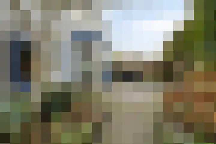 Ketellapperstraat 30 Assen thumbnail 36