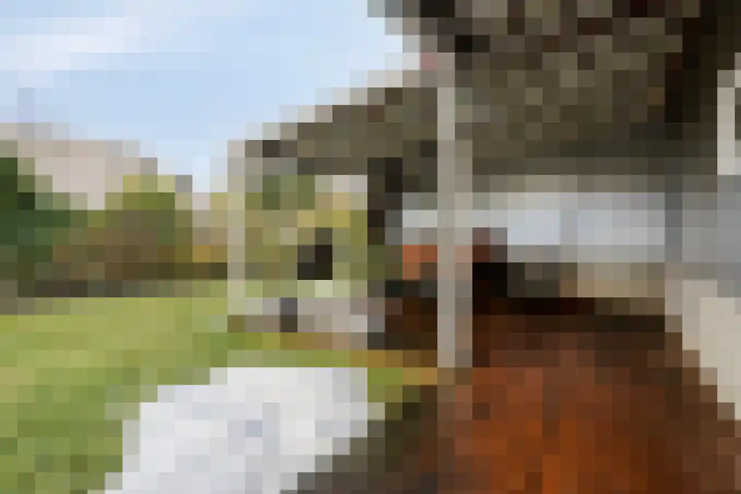 Ketellapperstraat 30 Assen thumbnail 40