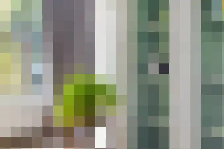 Ketelmeerweg 1 E Nagele thumbnail 13