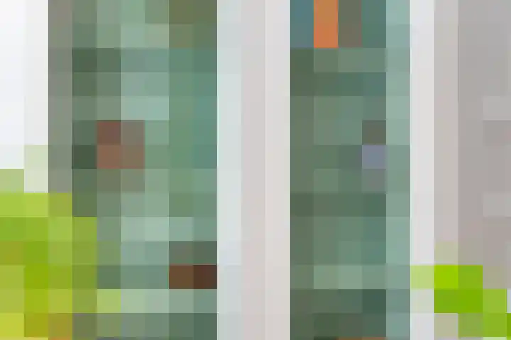 Ketelmeerweg 1 E Nagele thumbnail 14