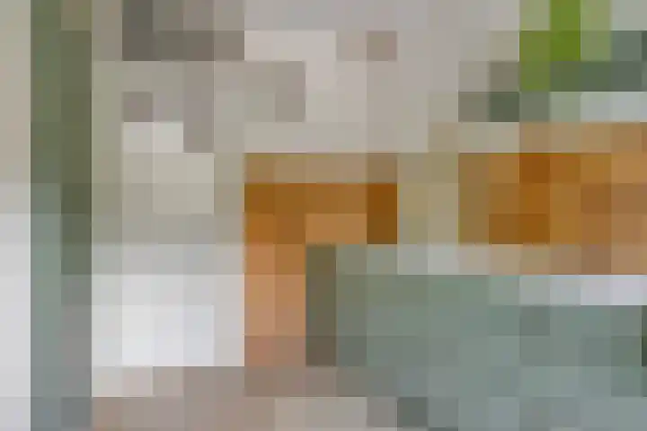Ketelmeerweg 1 E Nagele thumbnail 15