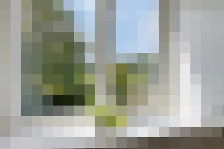 Ketelmeerweg 1 E Nagele thumbnail 21