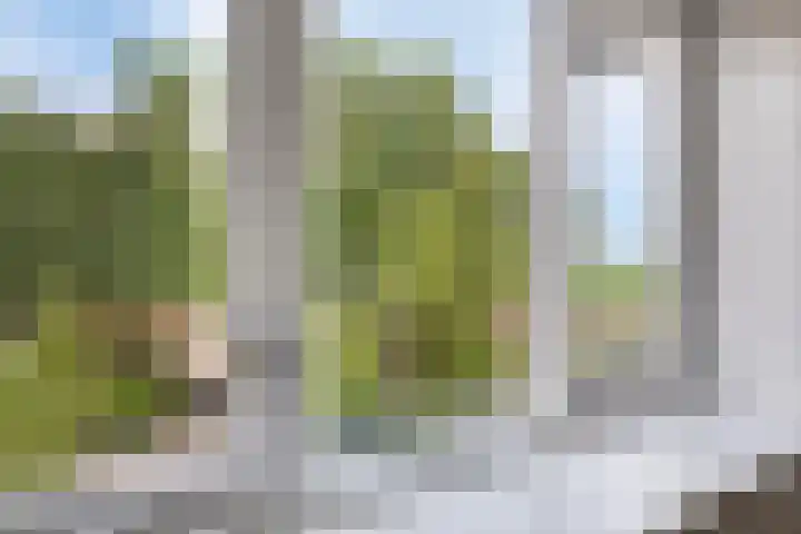 Ketelmeerweg 1 E Nagele thumbnail 33