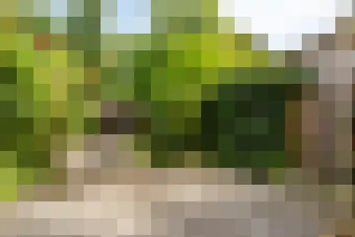 Ketelmeerweg 1 E Nagele thumbnail 37