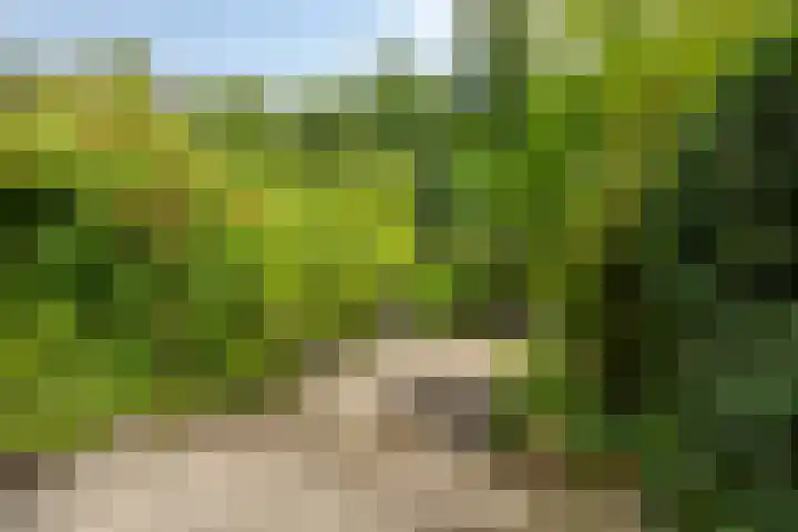 Ketelmeerweg 1 E Nagele thumbnail 39