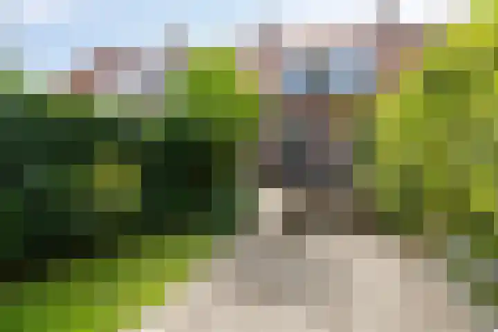 Ketelmeerweg 1 E Nagele thumbnail 40
