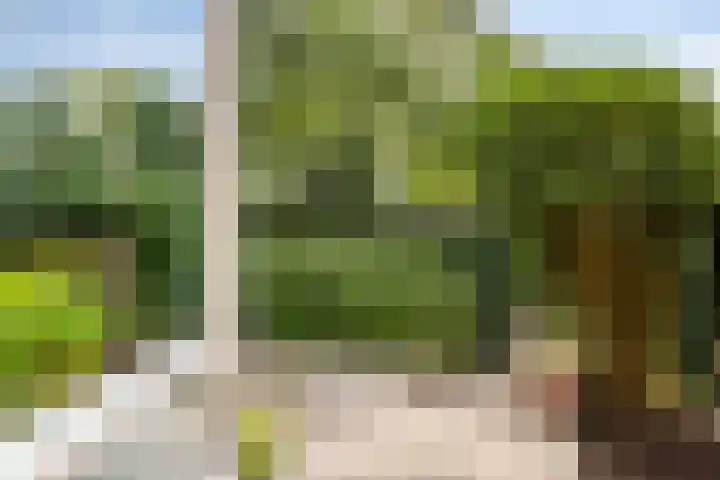 Ketelmeerweg 1 E Nagele thumbnail 41