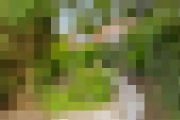 Ketelmeerweg 1 E Nagele thumbnail 42