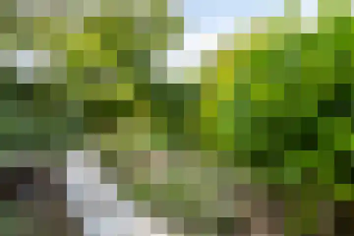 Ketelmeerweg 1 E Nagele thumbnail 43
