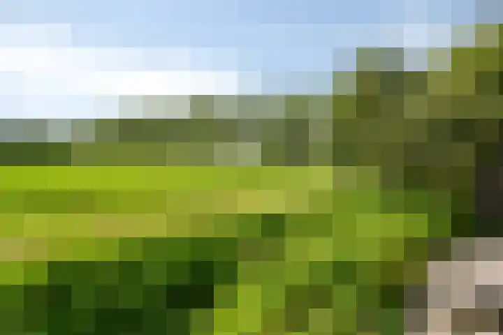 Ketelmeerweg 1 E Nagele thumbnail 45
