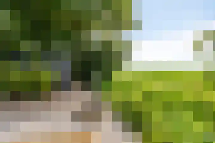 Ketelmeerweg 1 E Nagele thumbnail 46