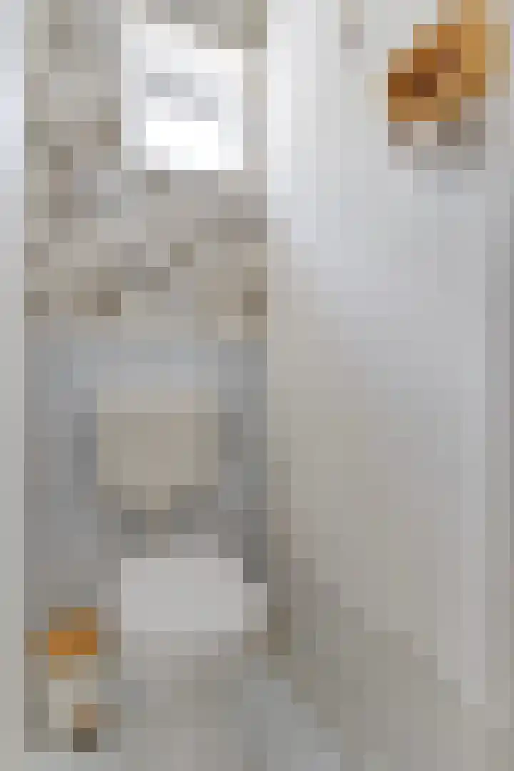 Ketelmeerweg 1 E Nagele thumbnail 5