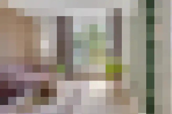 Ketelmeerweg 1 E Nagele thumbnail 8