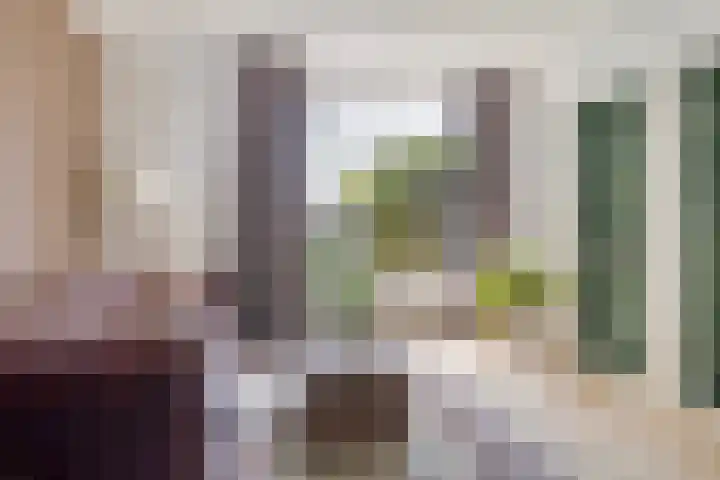 Ketelmeerweg 1 E Nagele thumbnail 9