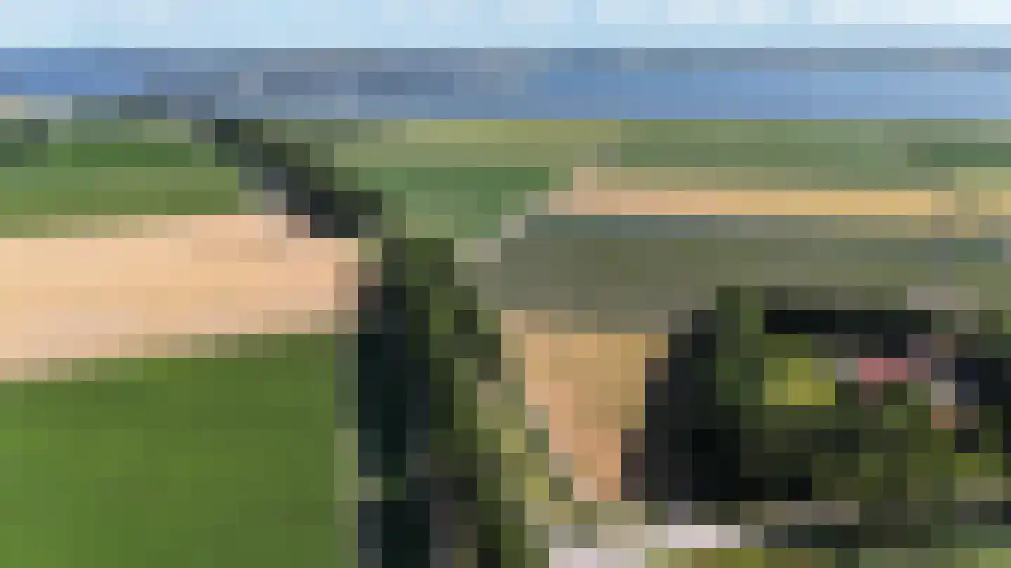 Ketelmeerweg 1 Nagele thumbnail 4