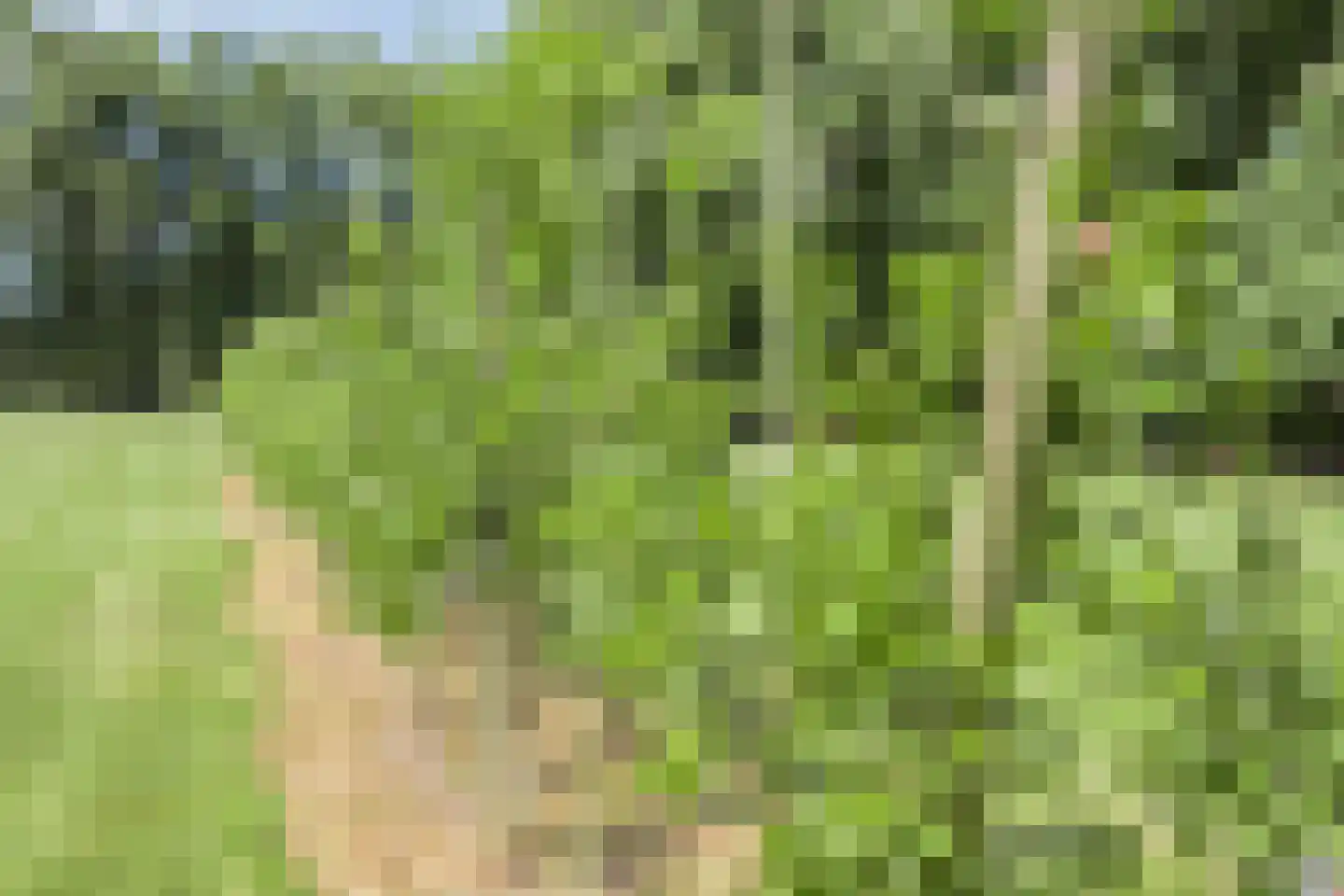 Ketelmeerweg 1 Nagele thumbnail 46