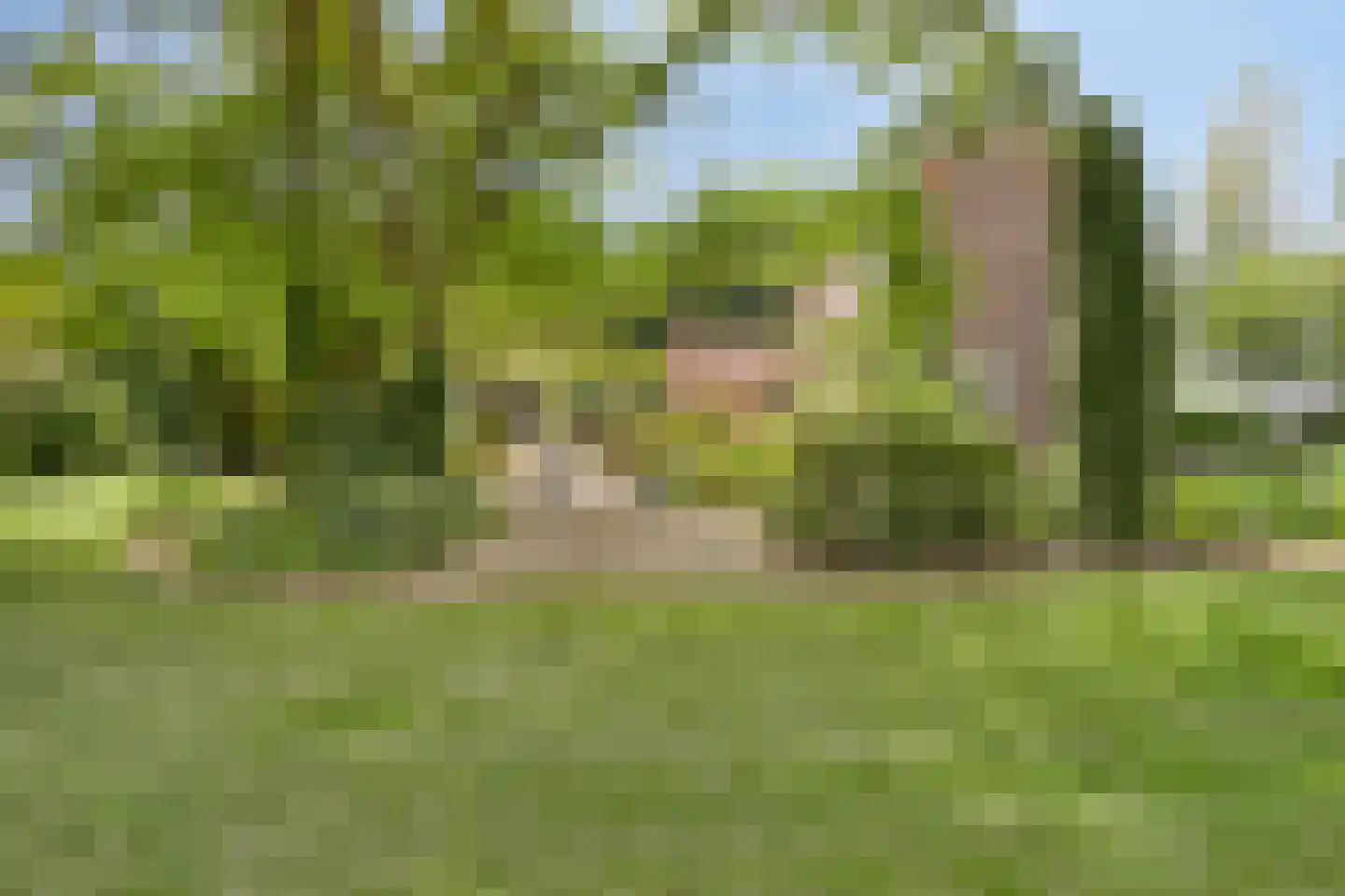 Ketelmeerweg 1 Nagele thumbnail 50