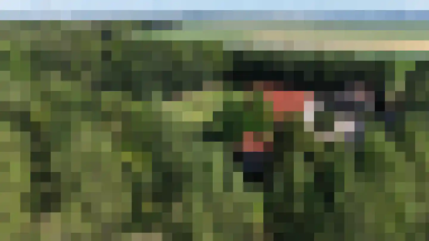 Ketelmeerweg 1 Nagele thumbnail 55