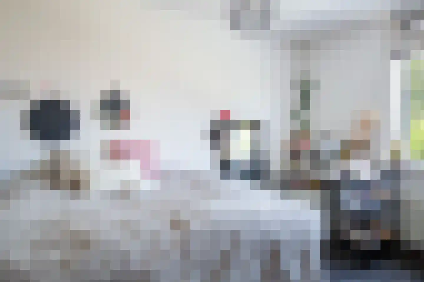 Ketelslagersdreef 12 Geleen thumbnail 14