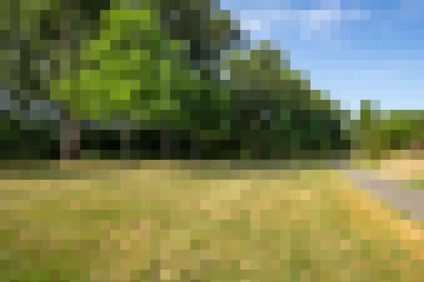 Ketelslagersdreef 12 Geleen thumbnail 22