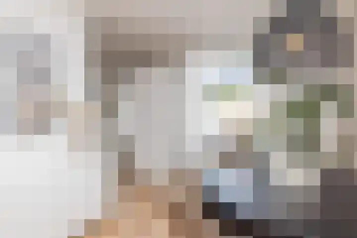 Ketelslagersdreef 39 Geleen thumbnail 11