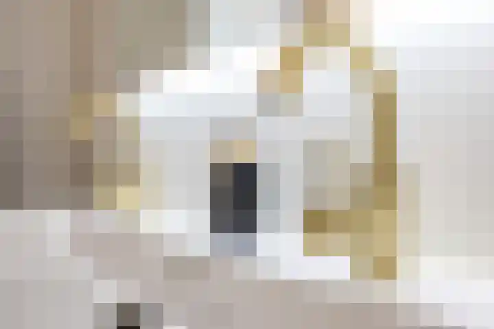 Ketelslagersdreef 39 Geleen thumbnail 23