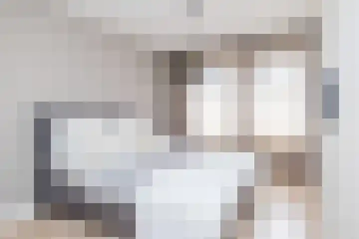 Ketelslagersdreef 39 Geleen thumbnail 25