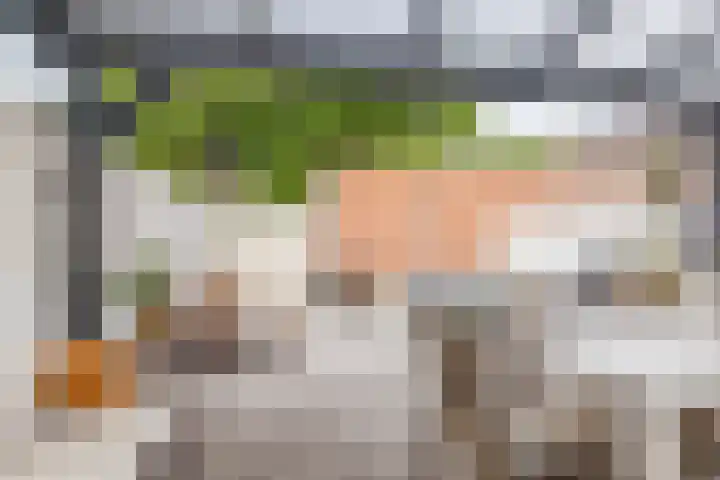 Ketelslagersdreef 39 Geleen thumbnail 30