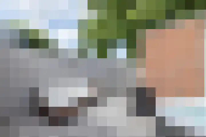 Ketelslagersdreef 39 Geleen thumbnail 34