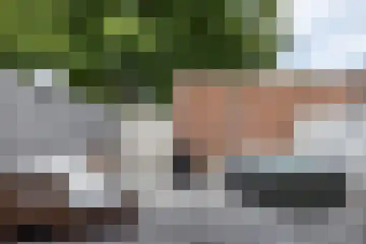 Ketelslagersdreef 39 Geleen thumbnail 35