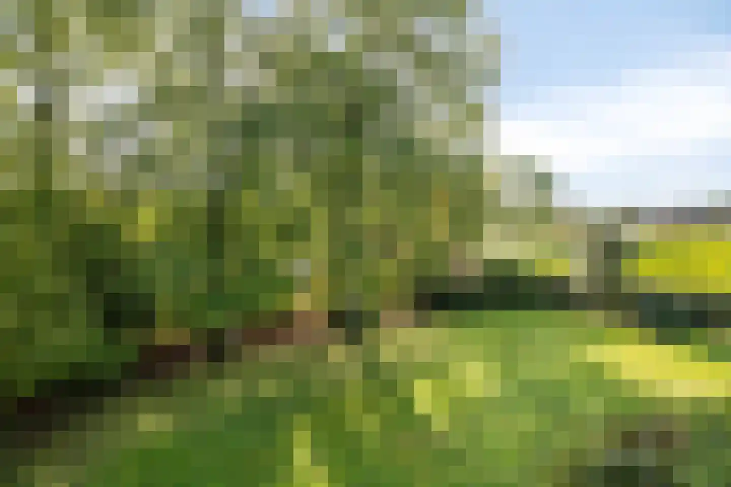 Ketelsteeg 20 Zaltbommel thumbnail 40