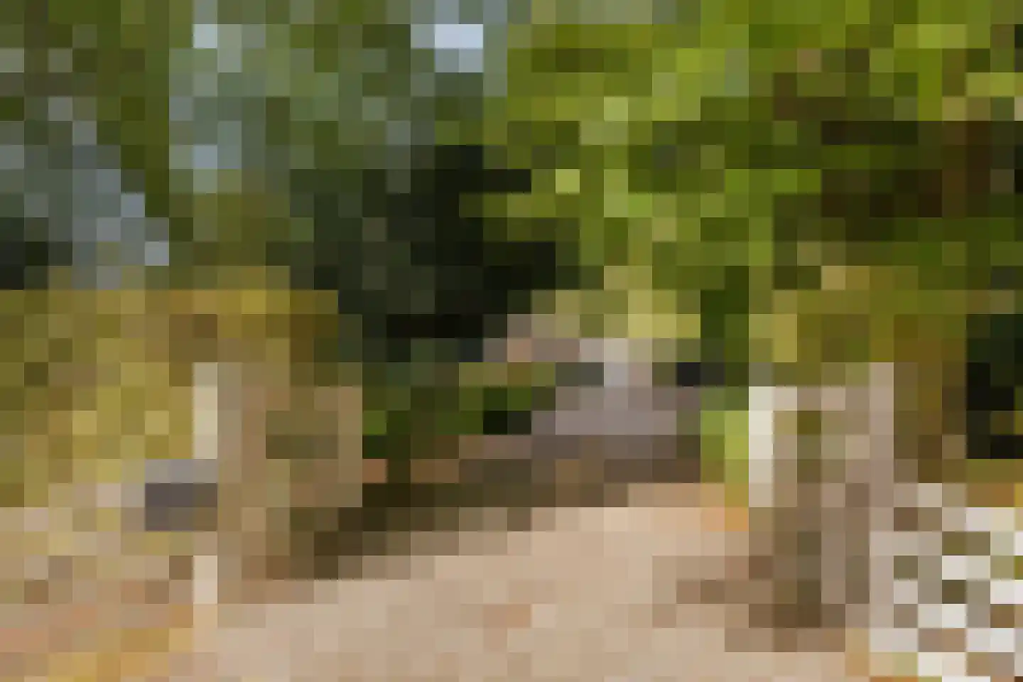Ketelsteeg 20 Zaltbommel thumbnail 6