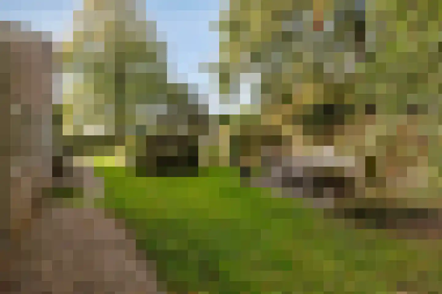 Ketelsteeg 20 Zaltbommel thumbnail 63