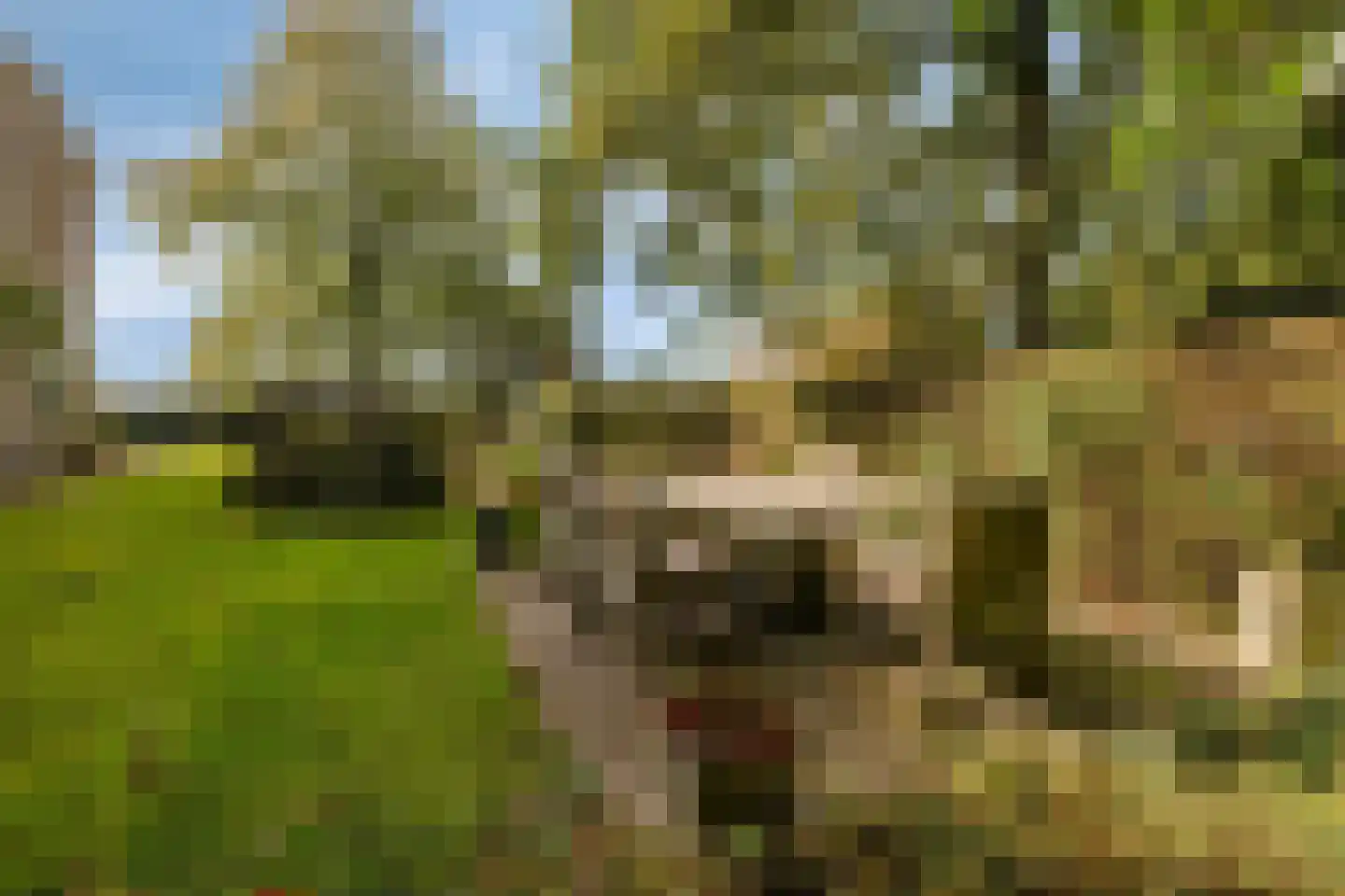 Ketelsteeg 20 Zaltbommel thumbnail 64