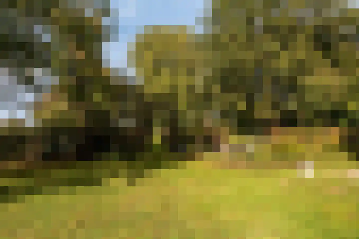 Ketelsteeg 20 Zaltbommel thumbnail 65