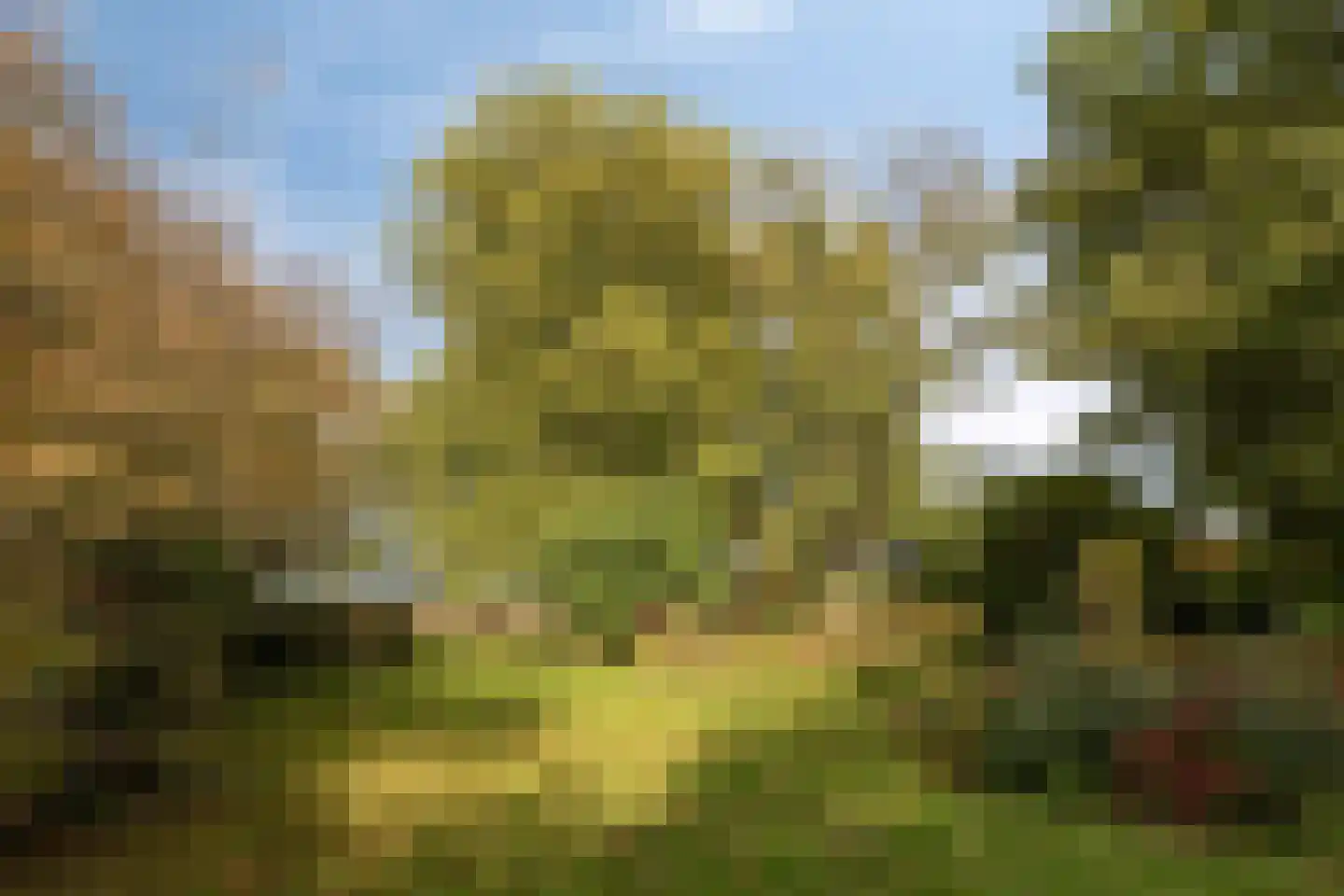 Ketelsteeg 20 Zaltbommel thumbnail 67