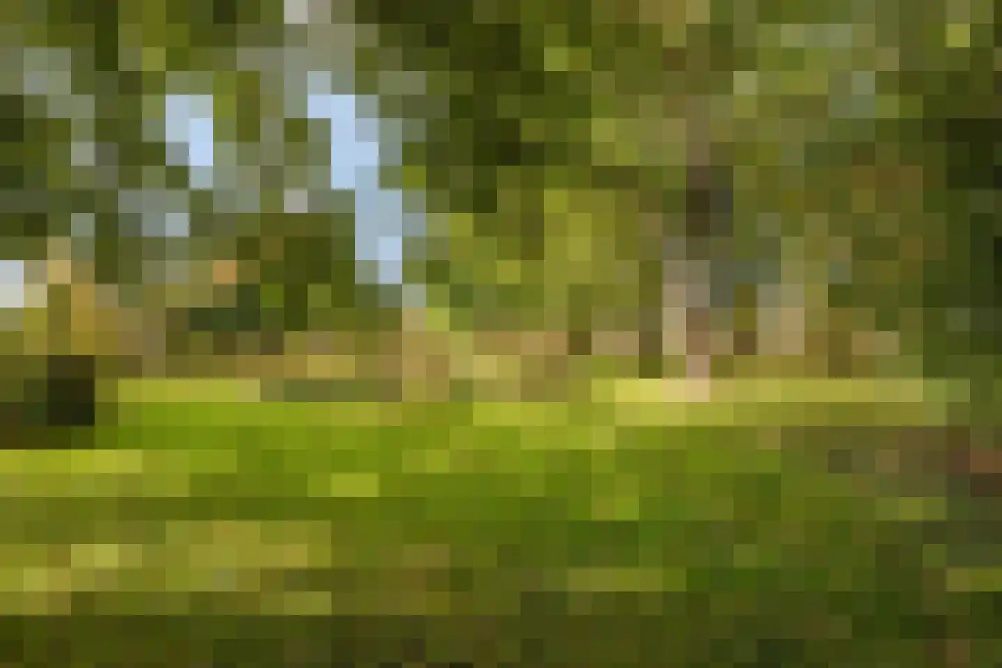 Ketelsteeg 20 Zaltbommel thumbnail 69