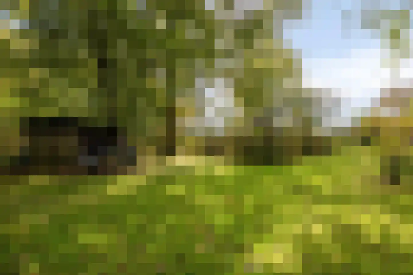 Ketelsteeg 20 Zaltbommel thumbnail 70