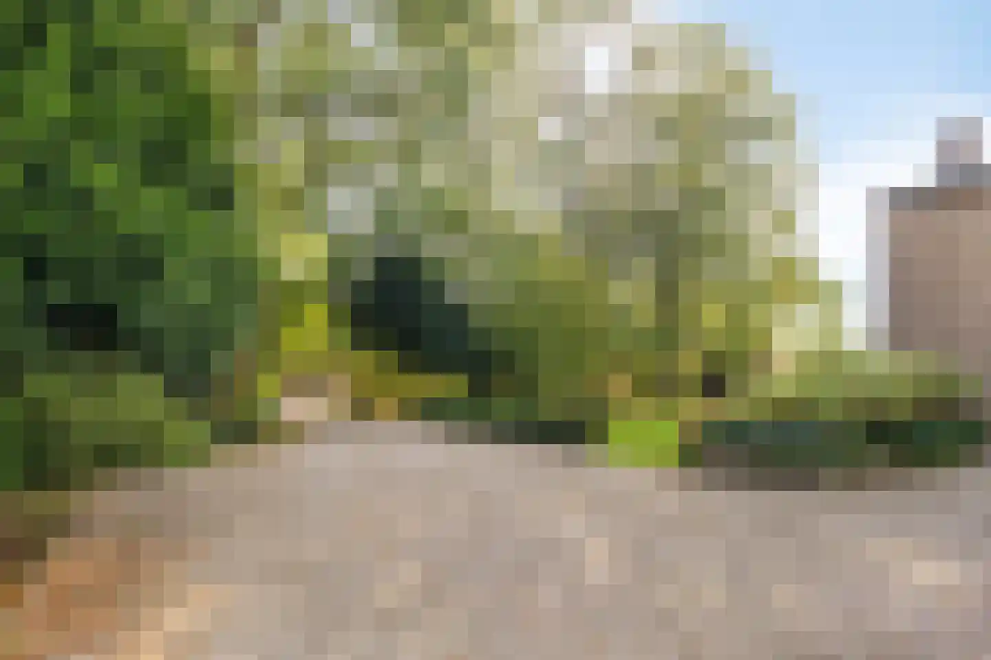 Ketelsteeg 20 Zaltbommel thumbnail 8