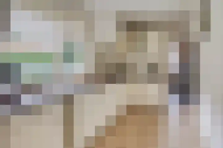 Ketelstraat 10 Diever thumbnail 11